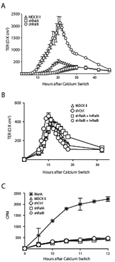 FIGURE 3: