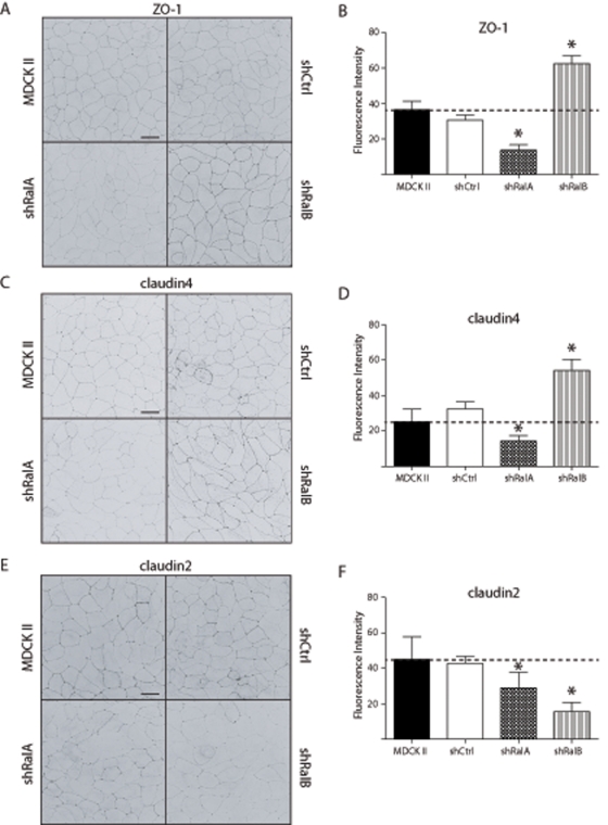 FIGURE 5: