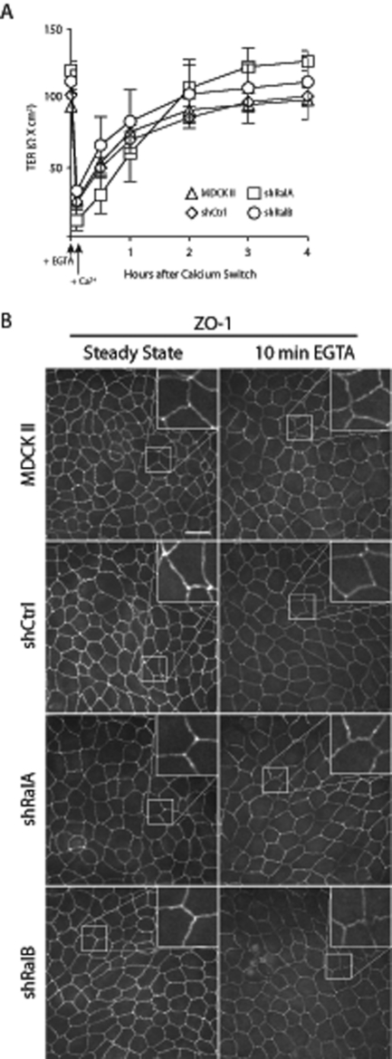 FIGURE 6: