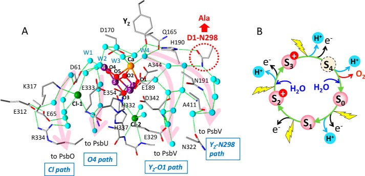 Figure 1.