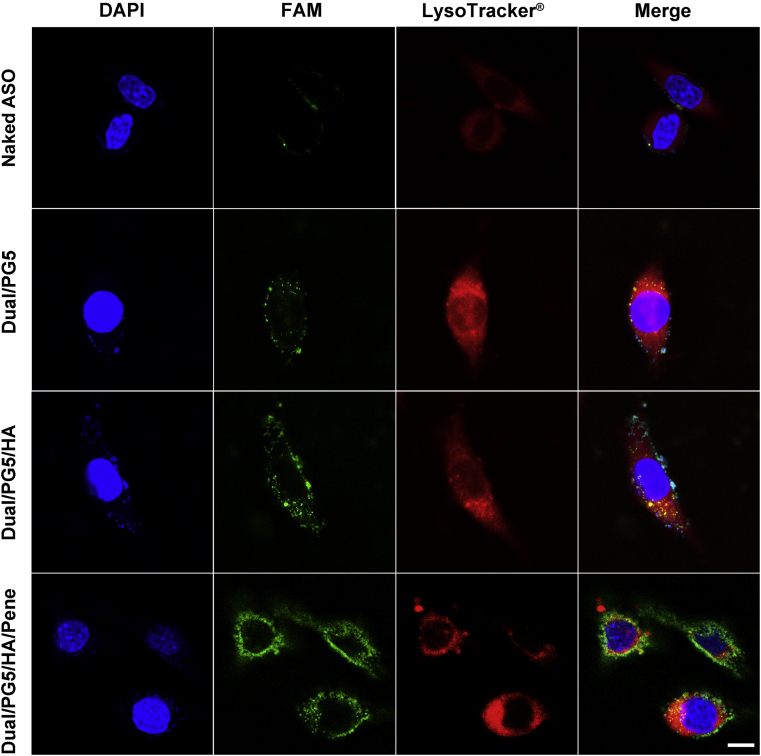 Figure 3