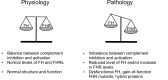 Figure 5