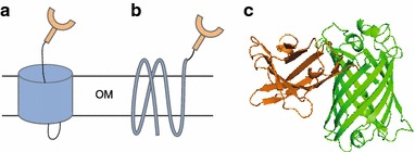 Fig. 1