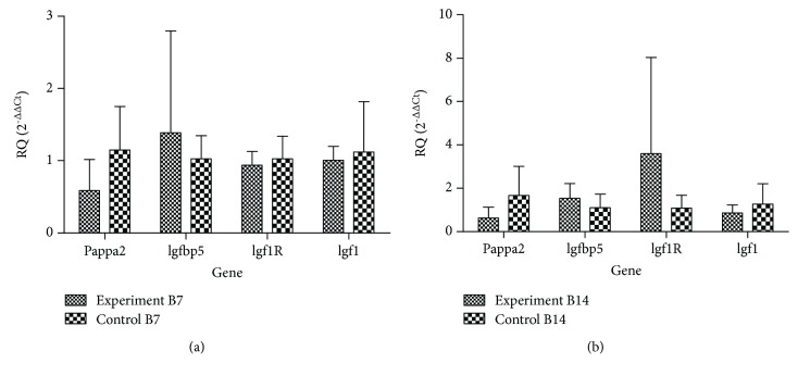 Figure 5