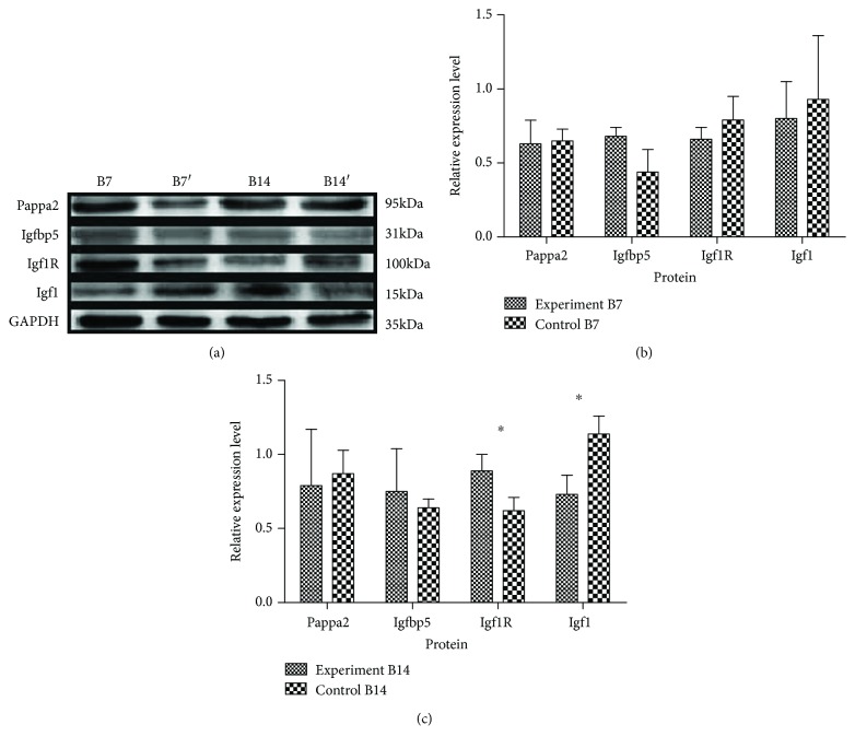 Figure 7