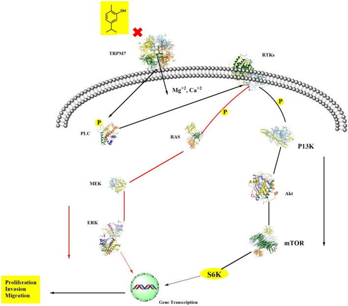 FIGURE 2