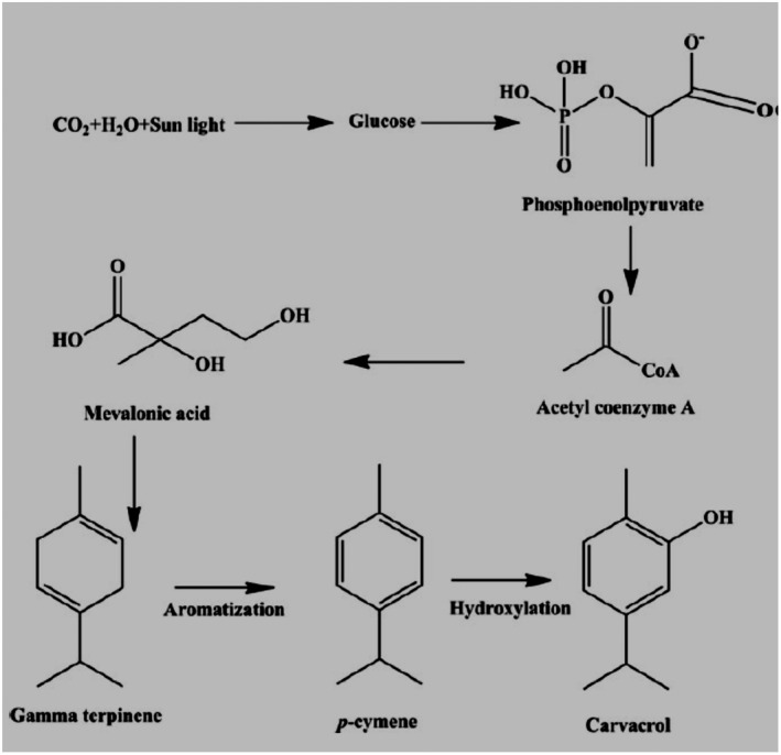 FIGURE 1