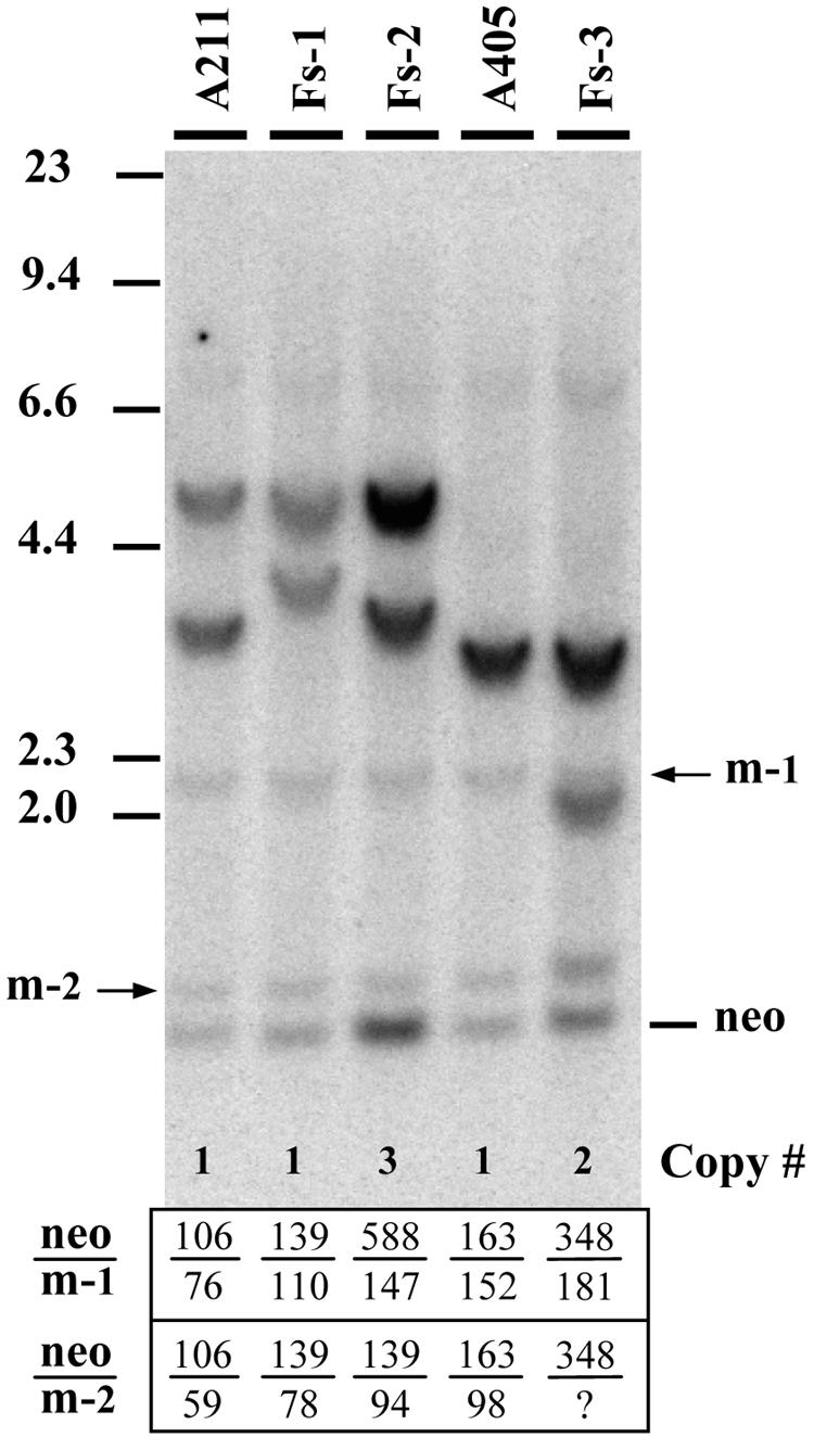 FIG. 3.