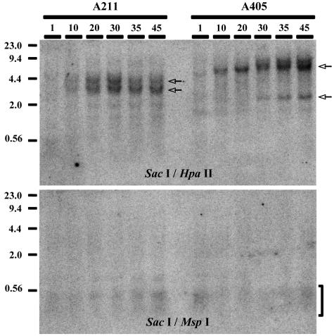 FIG. 9.