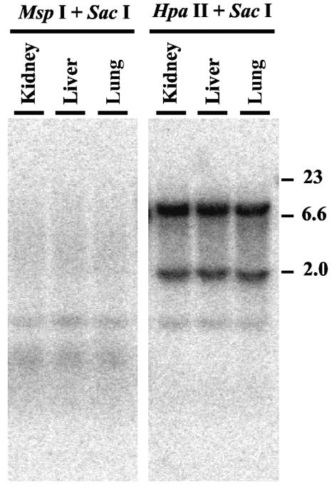 FIG. 10.