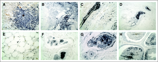 Fig 3.