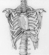 Figure 7: