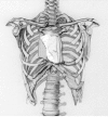 Figure 5: