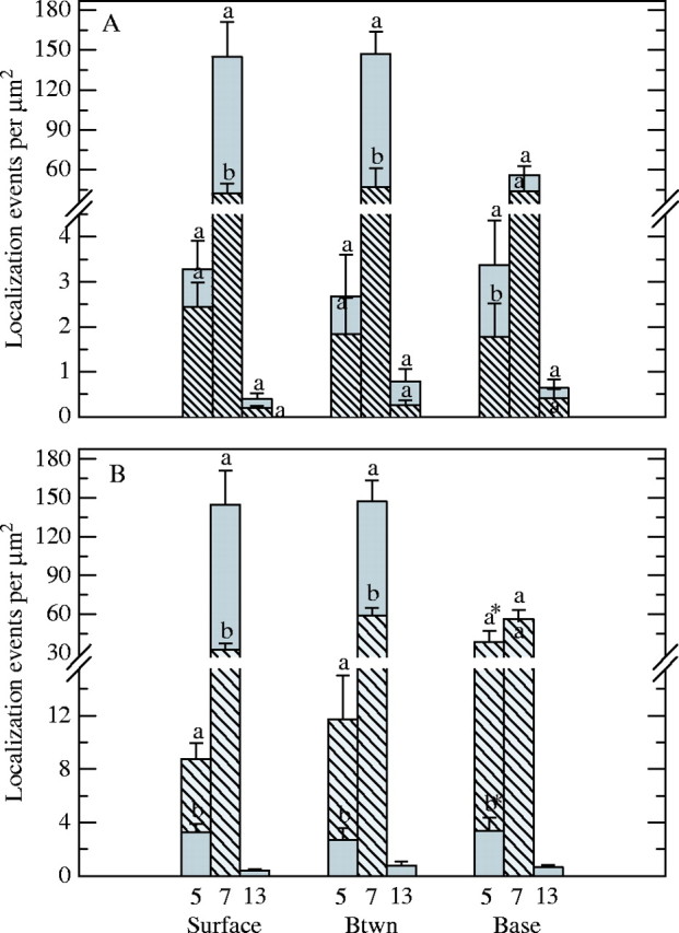 Fig. 5.