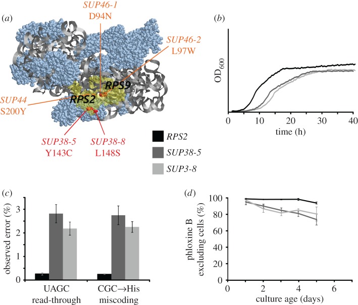 Figure 2.