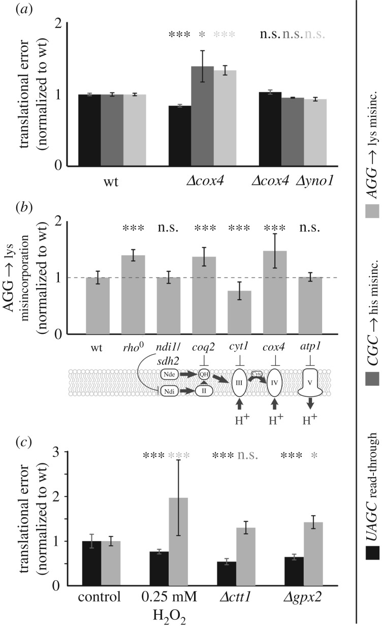 Figure 7.