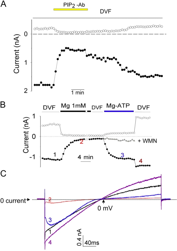 Figure 2.