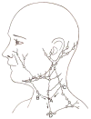 Fig. A.2