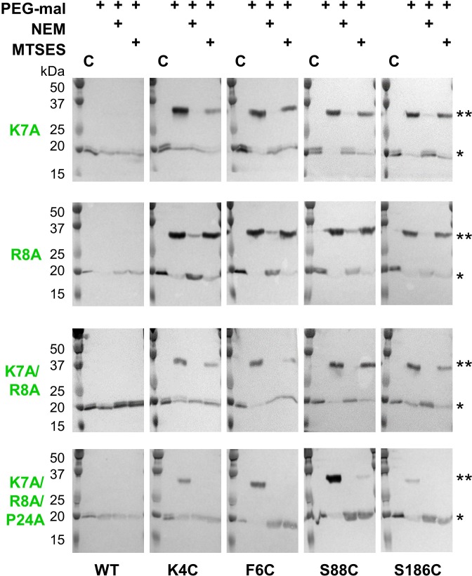 Figure 5.