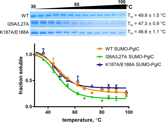 Figure 4—figure supplement 3.