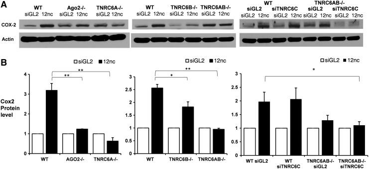 FIG. 7.