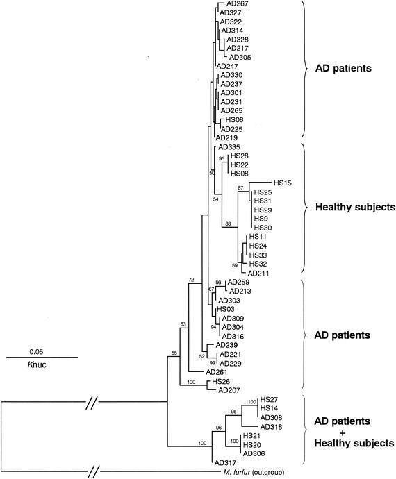 FIG. 4.