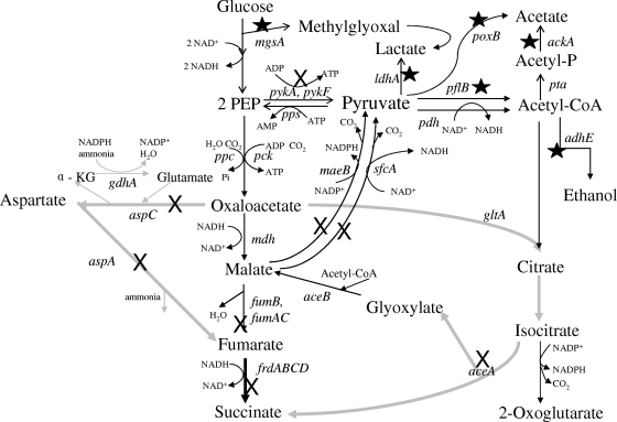 FIG. 2.