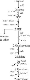 FIG. 1.