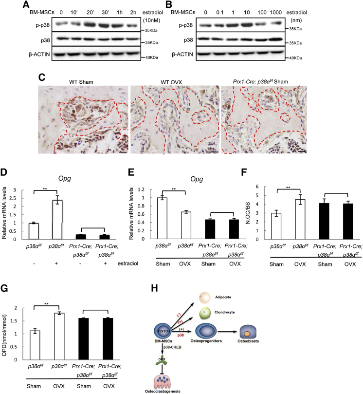 Figure 6