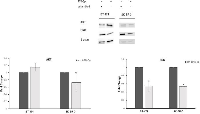 Fig 5