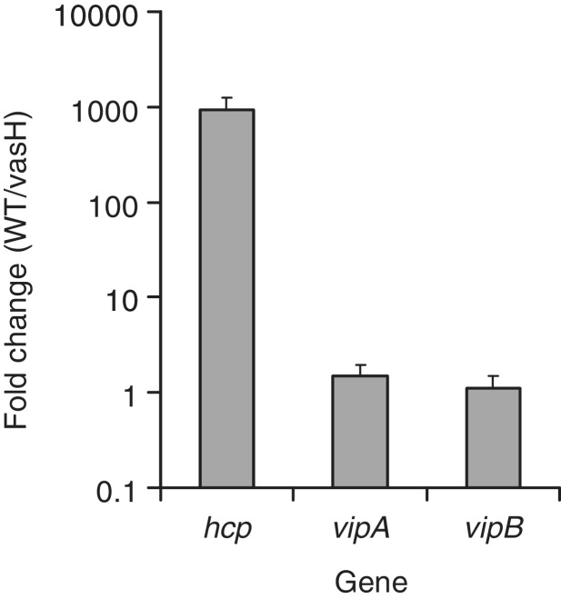 Figure 5.