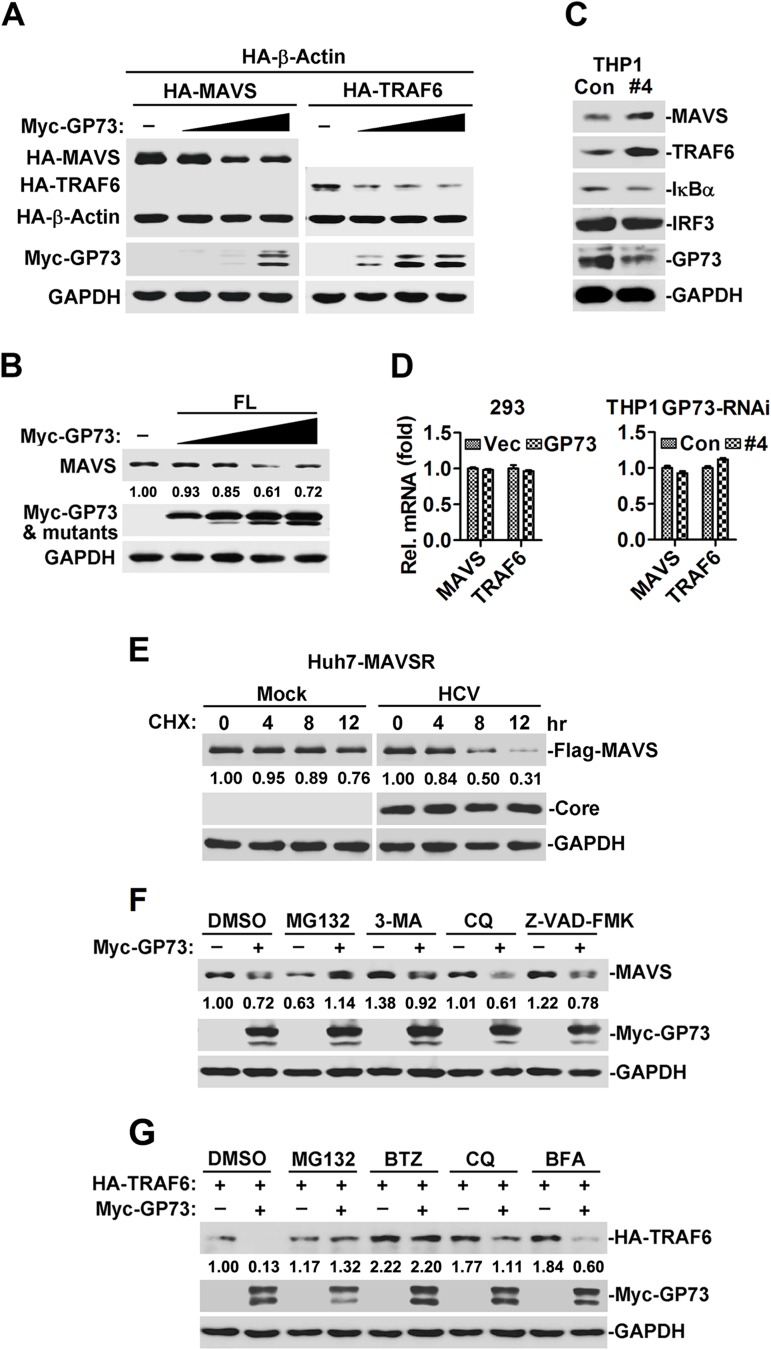 Fig 5