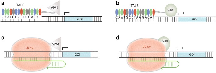 Fig. 6