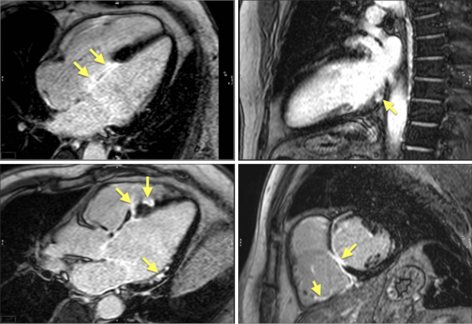 Fig. 9