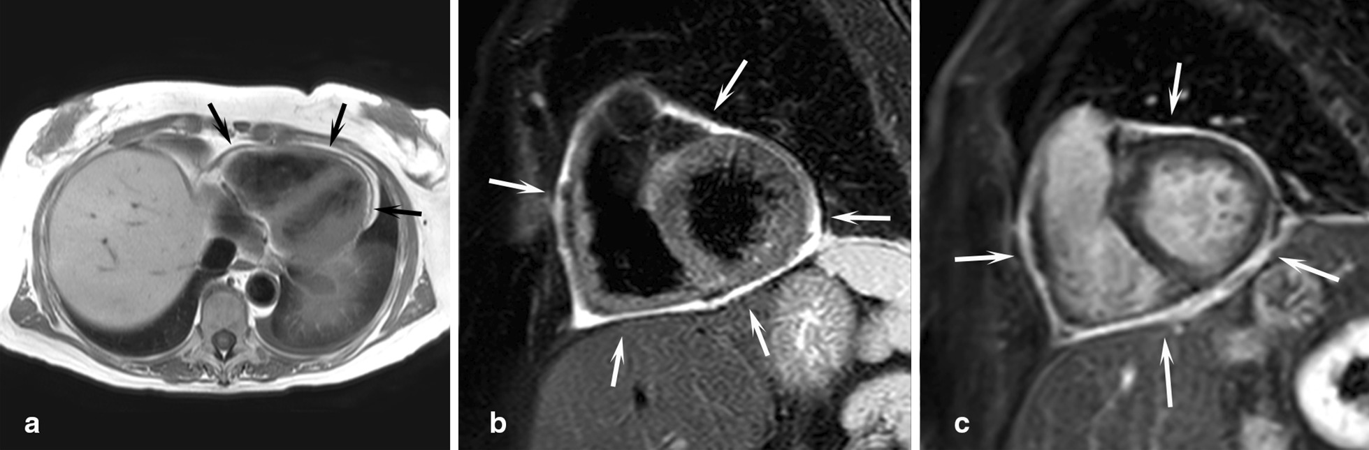 Fig. 10