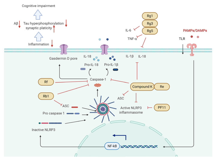 Figure 6