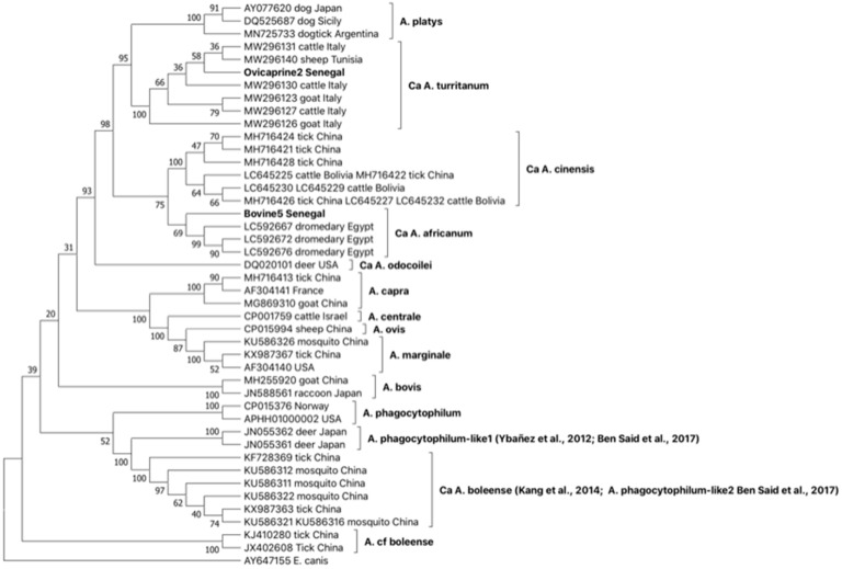 Figure 2