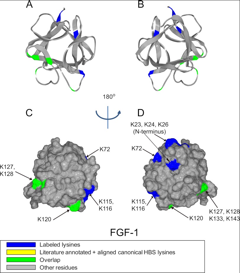 FIGURE 1.