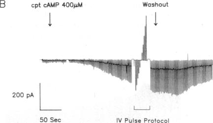 graphic file with name pnas01038-0072-a.jpg