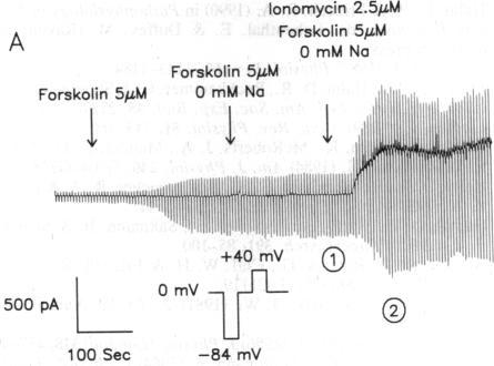 graphic file with name pnas01038-0074-a.jpg