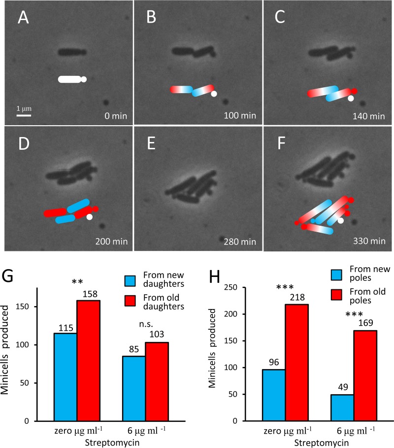 FIG 3