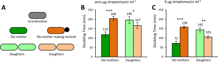 FIG 6