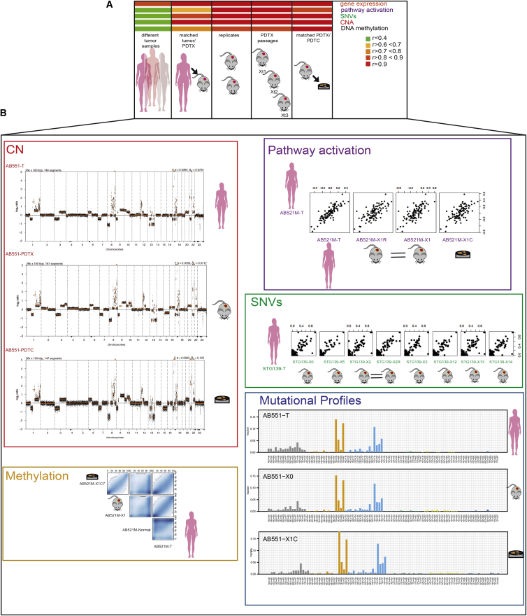 Figure 2