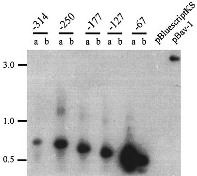 FIG. 5