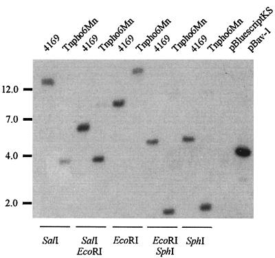 FIG. 6