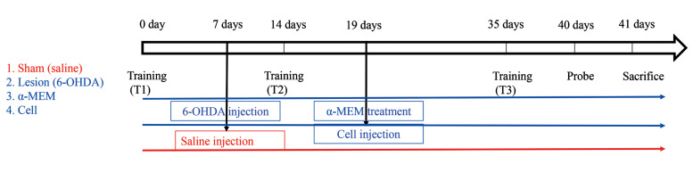 Fig.1