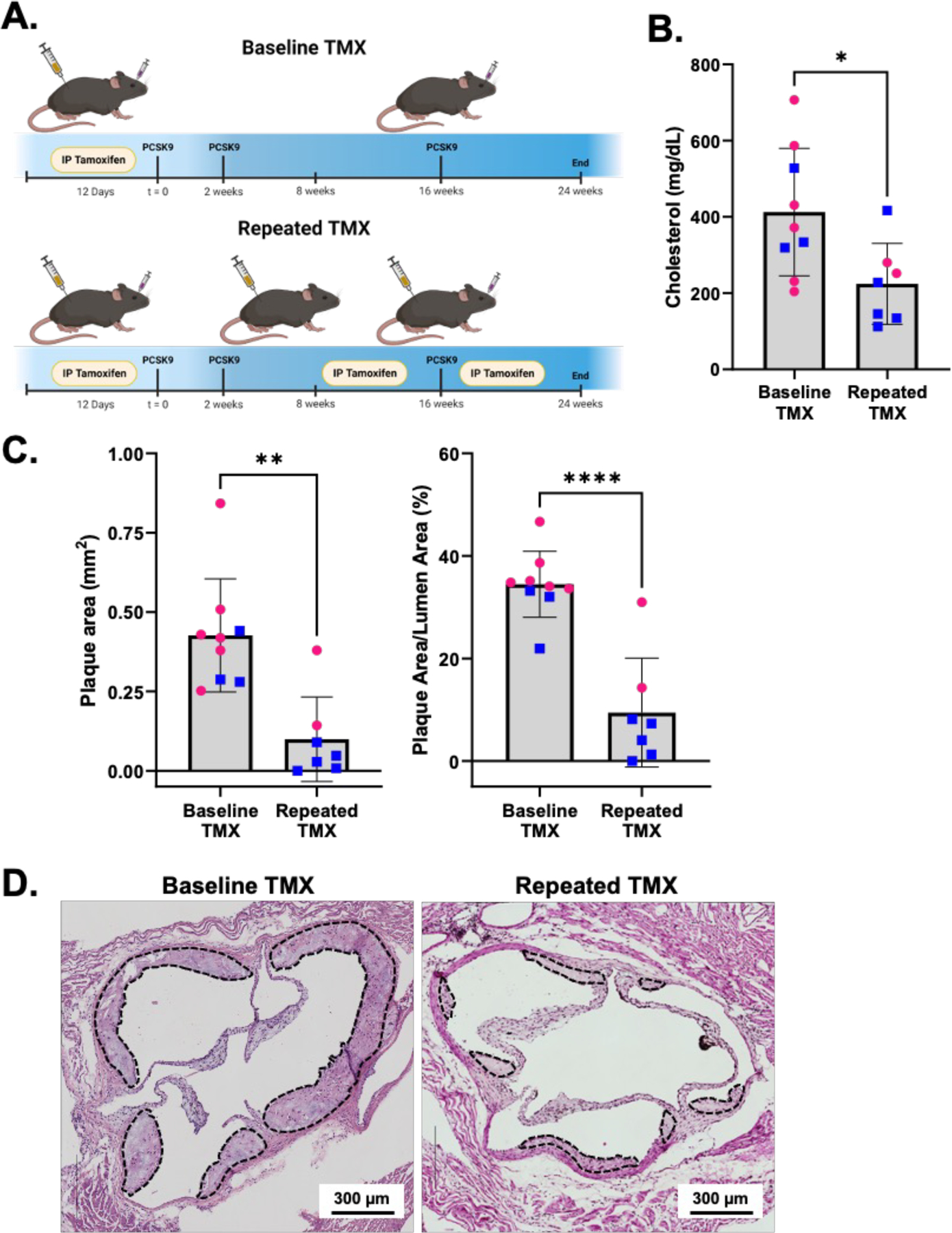 Figure 2: