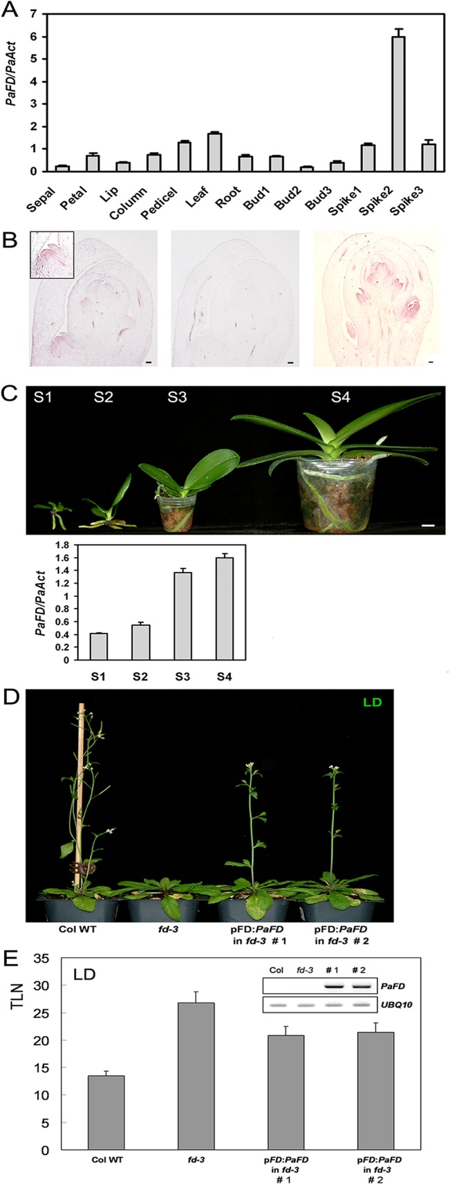 Fig 8