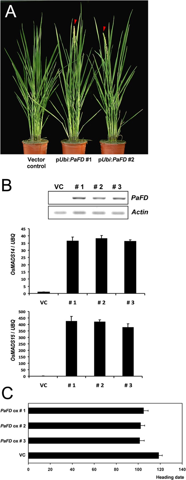 Fig 9