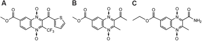 FIGURE 11